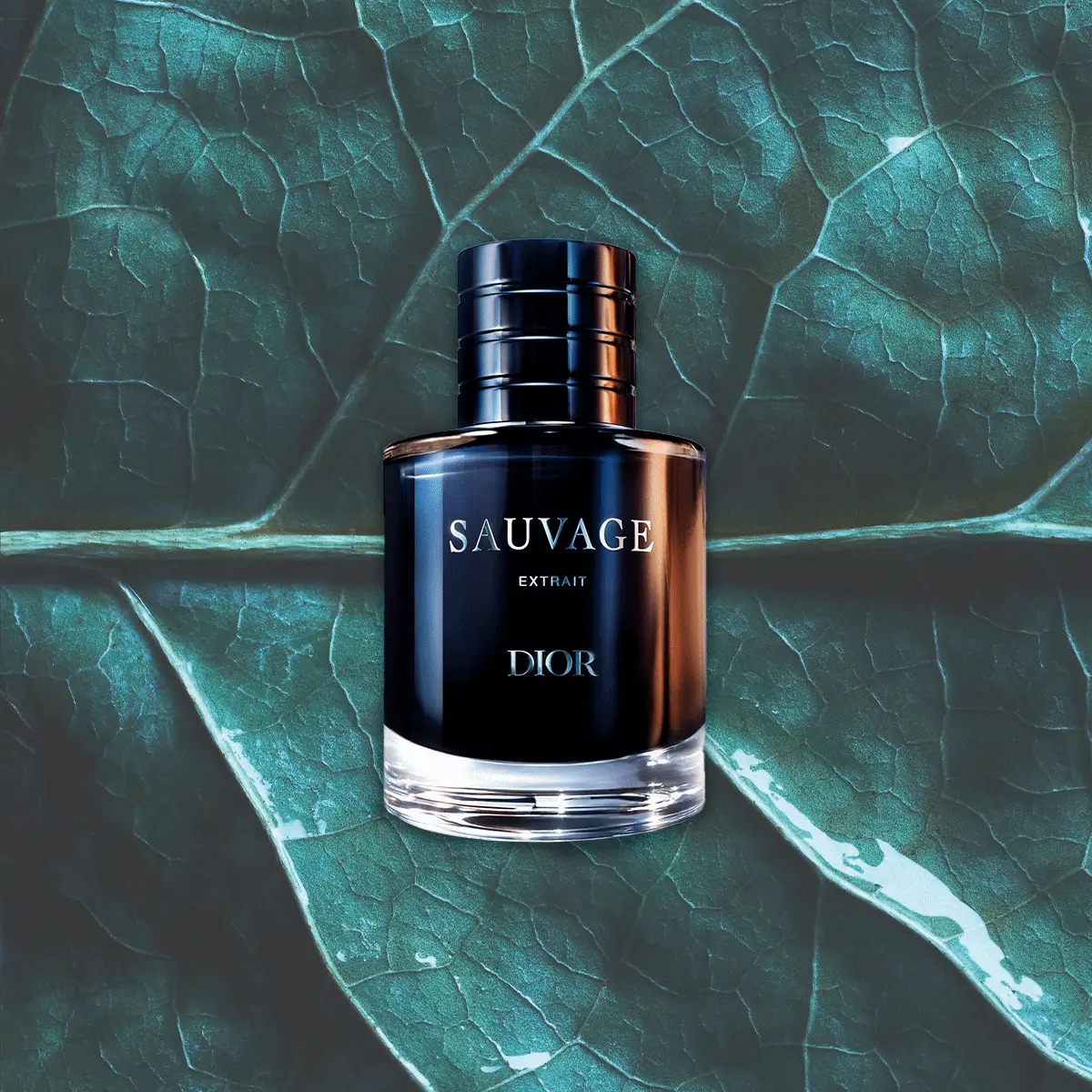 Dior's Latest Fragrance Redefines Scent Trends