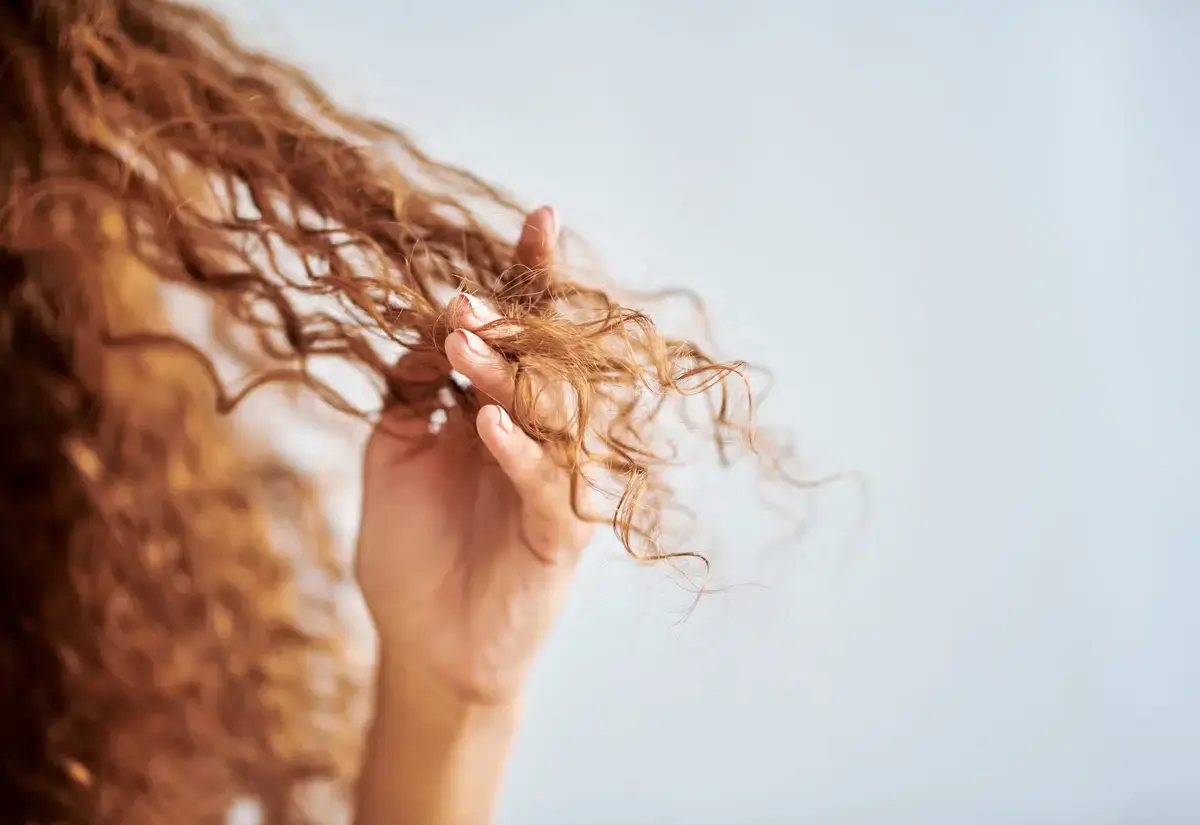 Hair Breakage vs Frizz: Spotting the Difference for Better Hair Care