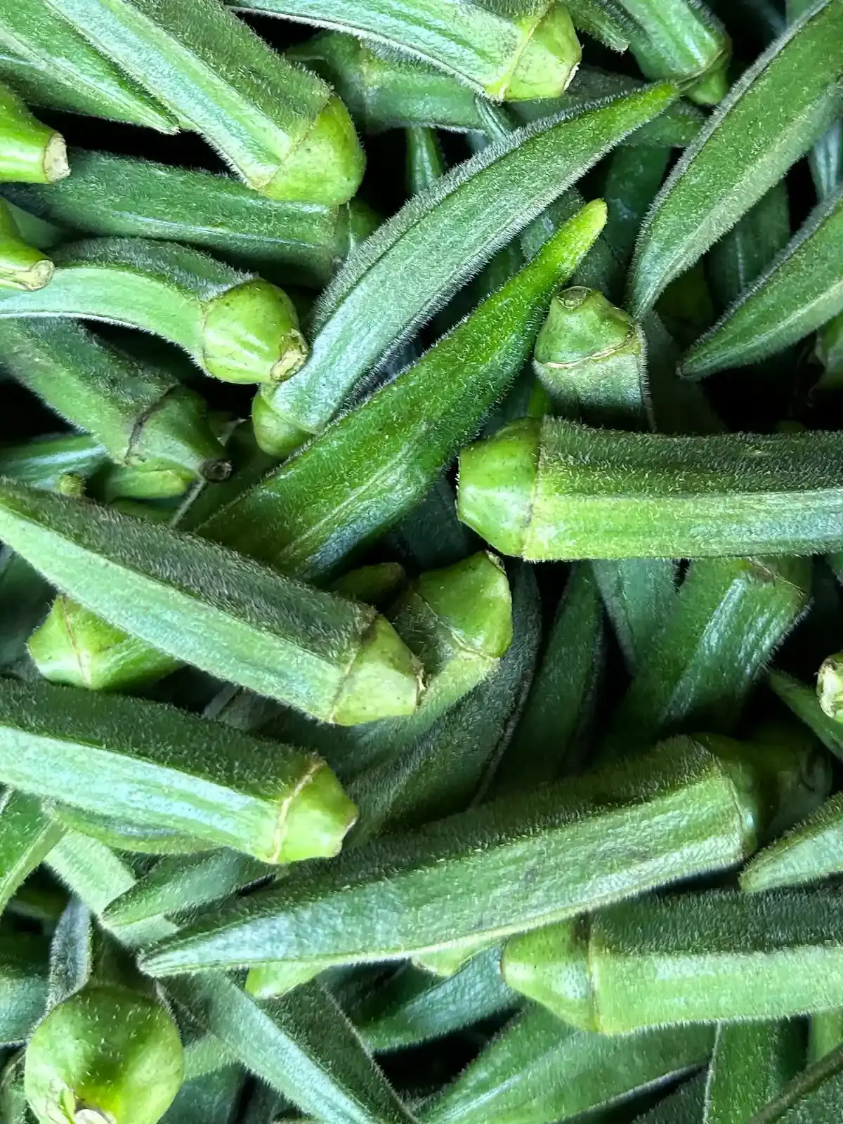 Okra Water: A Hydration Fad or Health Hack?