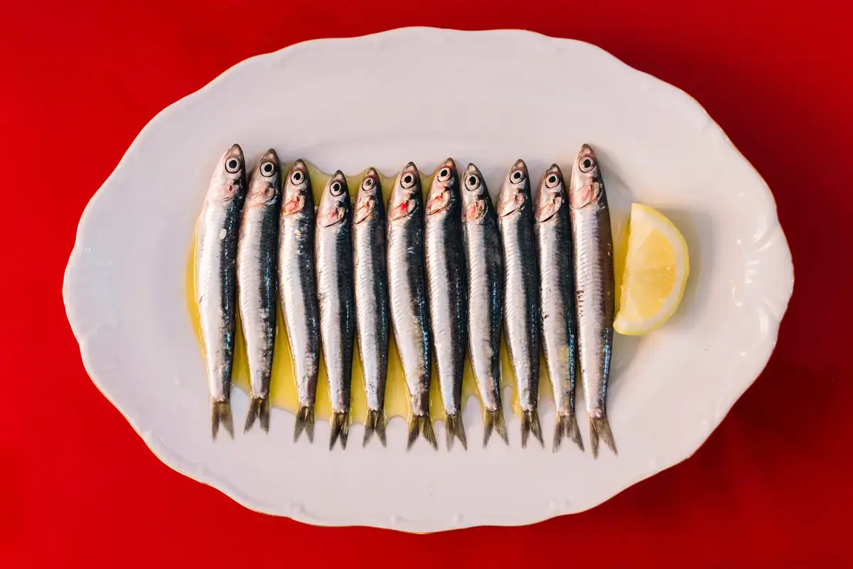 Sardines: The Unlikely Skin Care Superfood