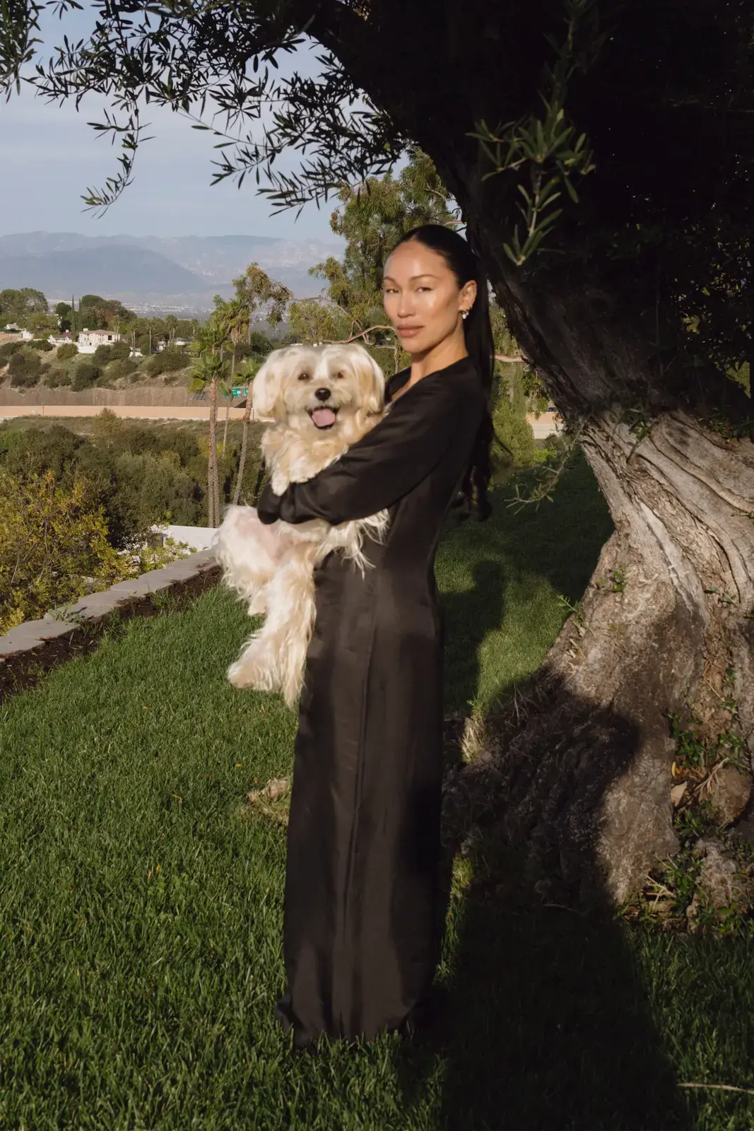 From Pet Care to Laundry: Why Everything’s Getting a Fashion Facelift