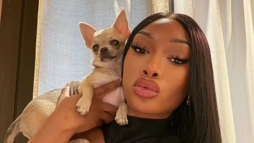 Megan Thee Stallion Teases New Music with Bold Fashion Statement